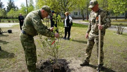Росгвардейцы присоединились к акции «Сад памяти» в Брянске