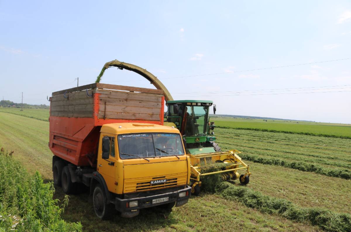 В Комаричском районе Брянской области идет заготовка кормов для скота