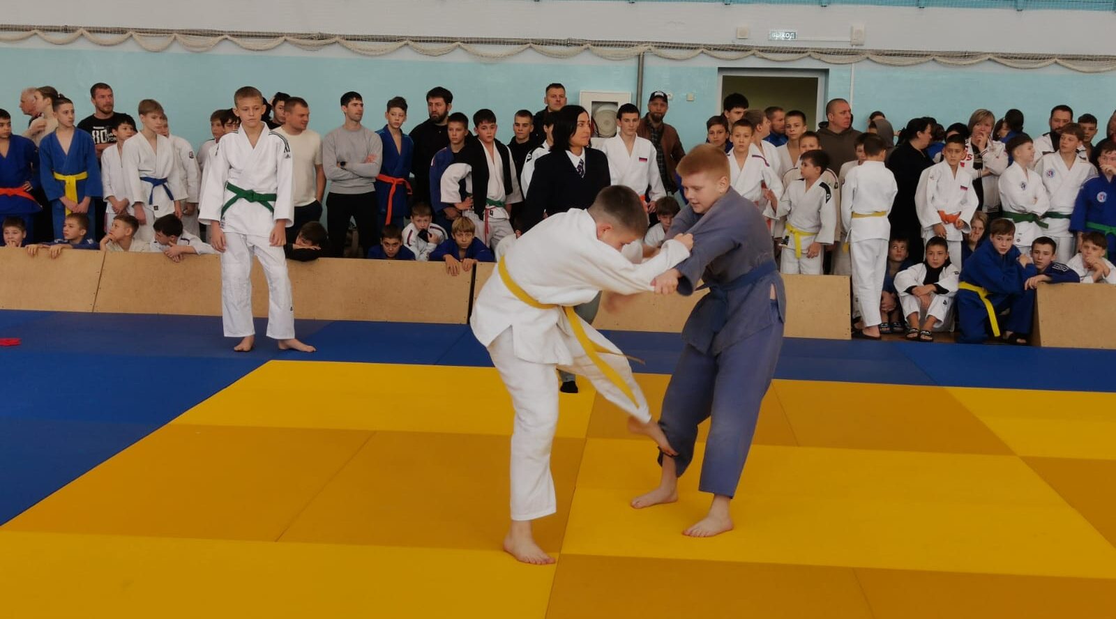 В Добруни проходят схватки на татами