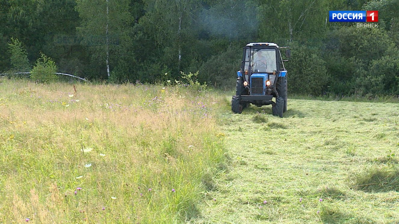 Сельхозпредприятия Брянской области завершили заготовку кормов
