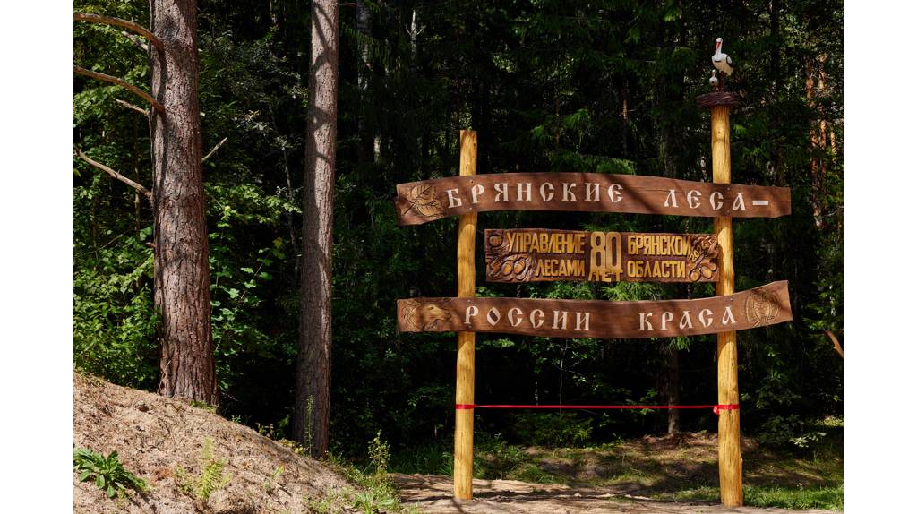 В Брянском районе установили панно «Брянские леса – России краса»   