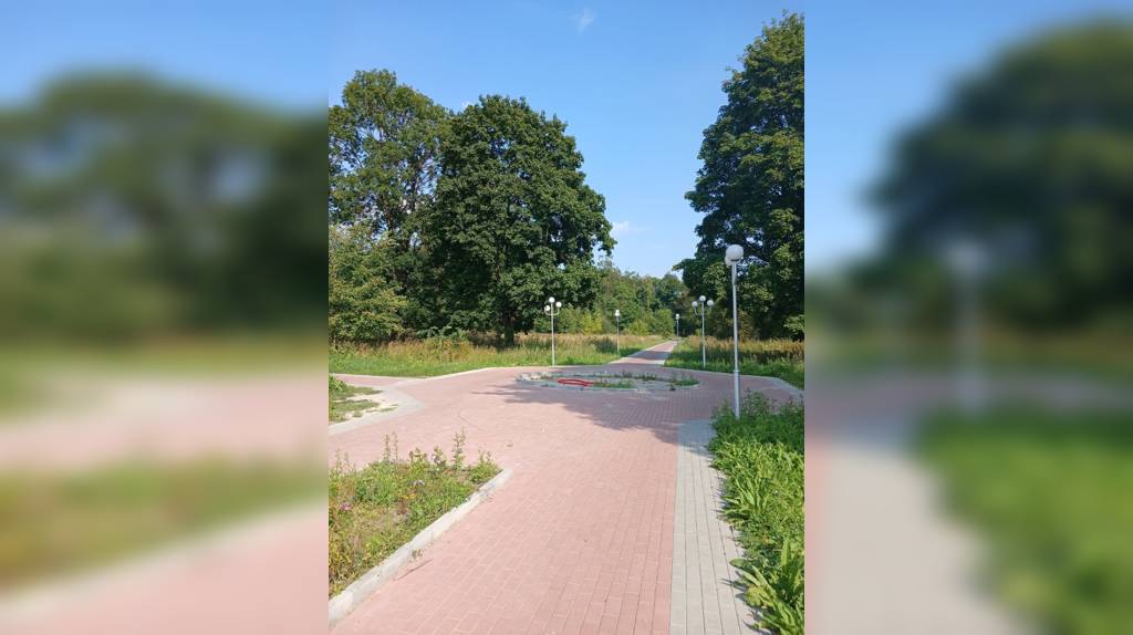 В Дятьково Брянской области продолжается благоустройство городского парка