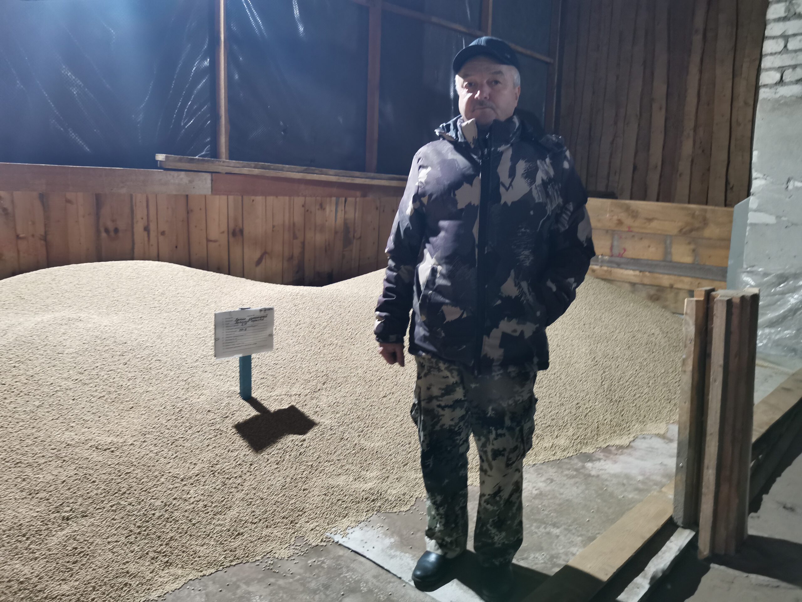 Селекцией люпина заниматься перспективно