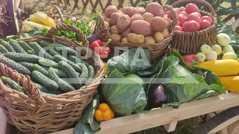 На брянских ярмарках выходного дня можно приобрести сельхозпродукцию по низким ценам