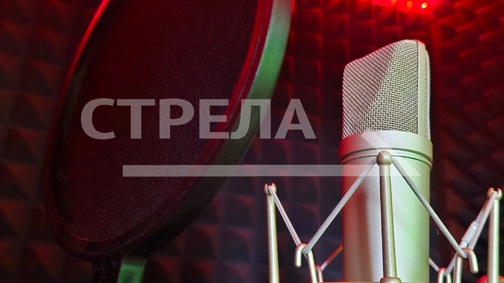 В ДК Медведева Брянска состоится концерт ко Дню матери