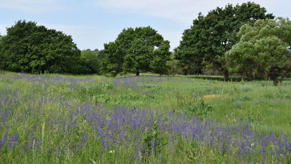 Обеспечение инженерной инфраструктурой земельных участков для многодетных семей в Брянской области