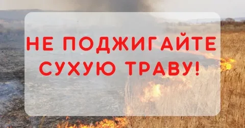 Правила поведения в пожароопасный период (пал сухой травы и отдых на природе)