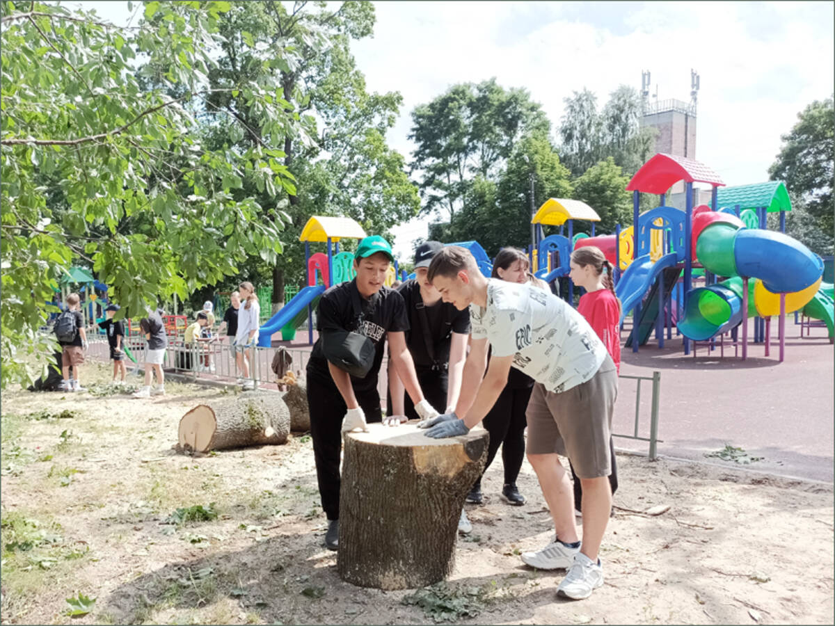 «Движение Первых» пришло на помощь коммунальным службам в Климово Брянской области