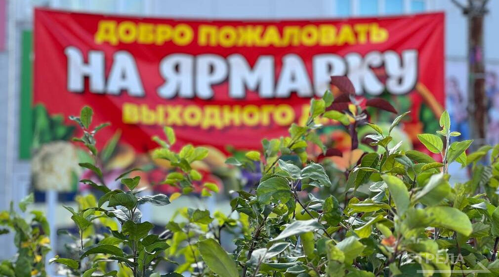 В Брянске продолжают работу ярмарки выходного дня