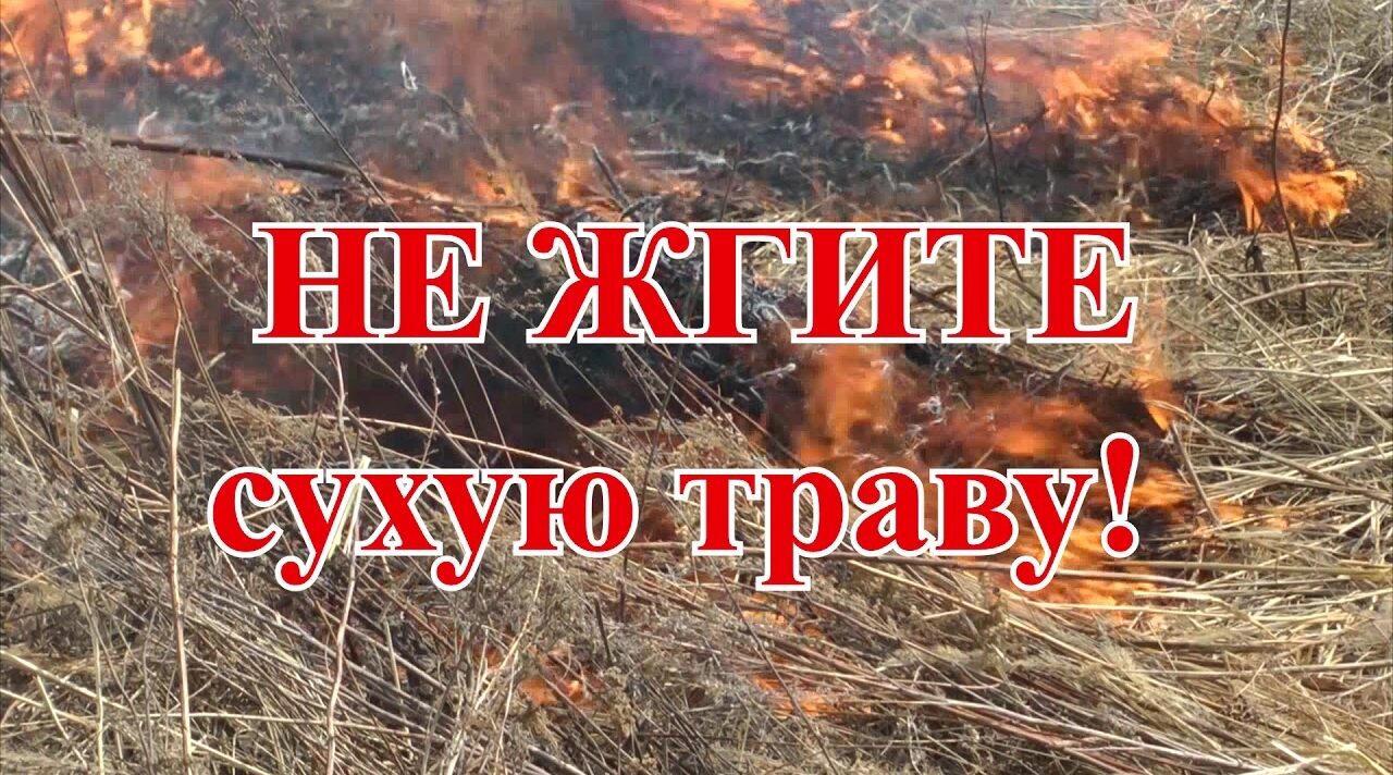 Ваша безопасность в ваших руках