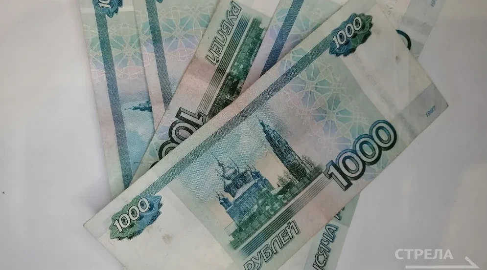 От бизнес-планов до льготного кредитования