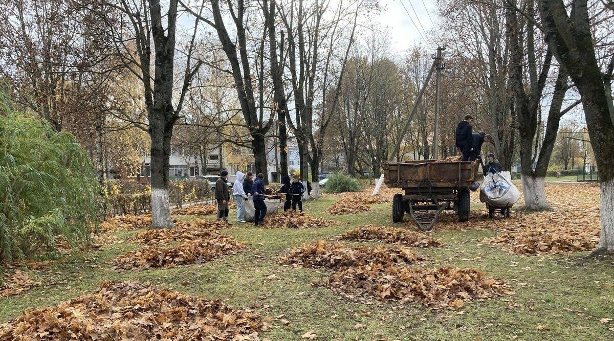 Лето с пользой для школьников