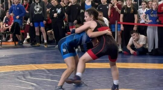 Турнир по борьбе в Брянске собрал сильных