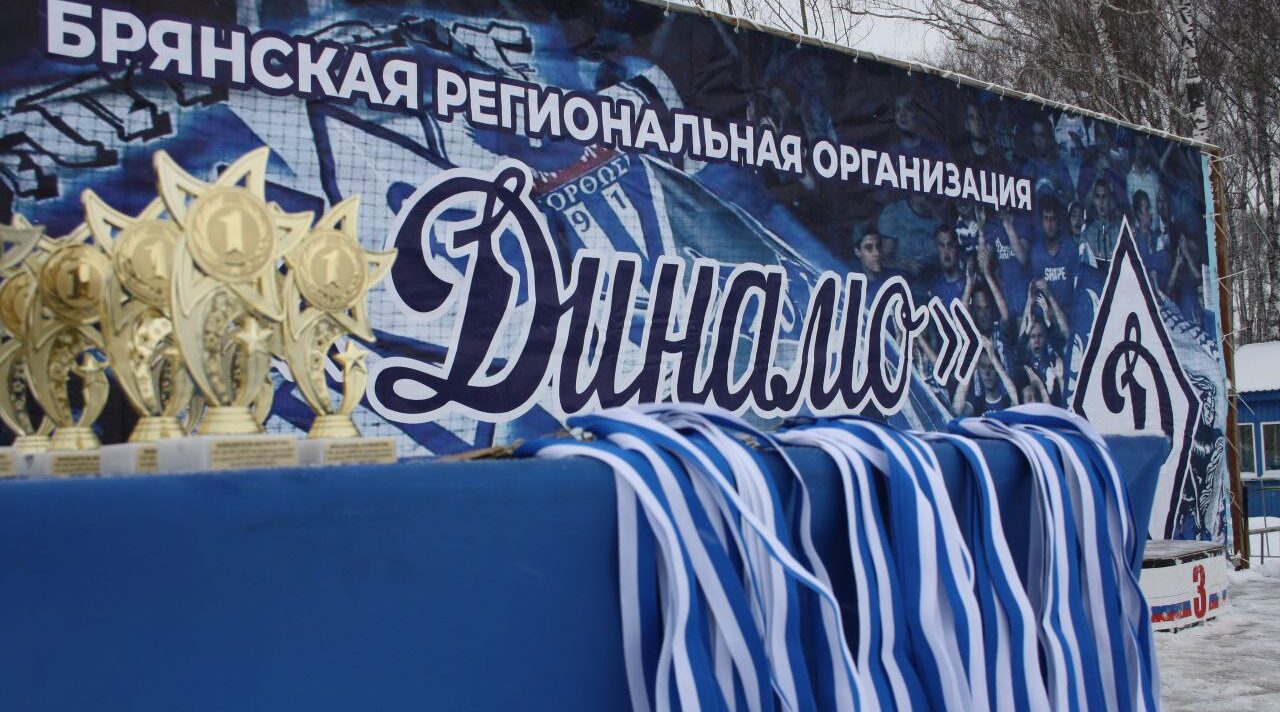 Брянские лыжники поддержали Декаду спорта и здоровья