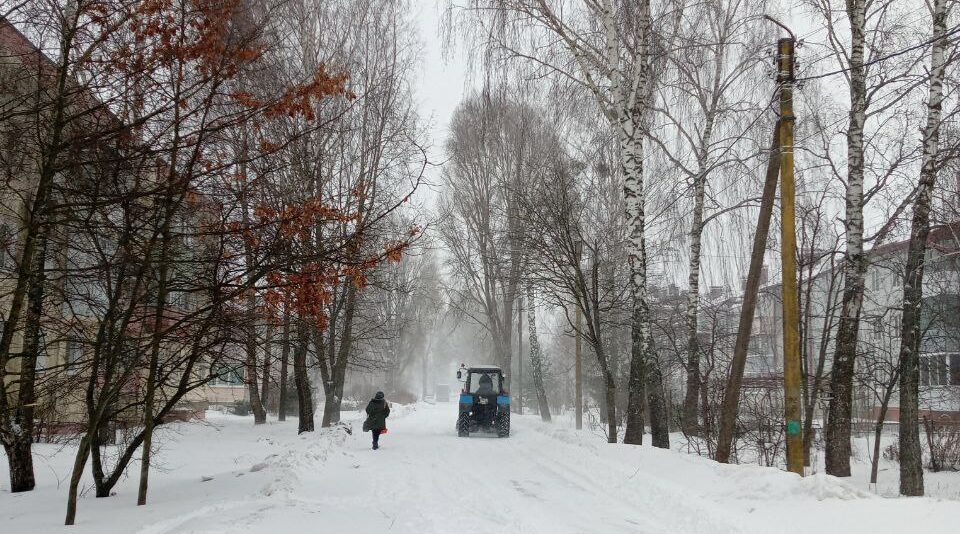 Балканский циклон испытывает Брянский район на прочность