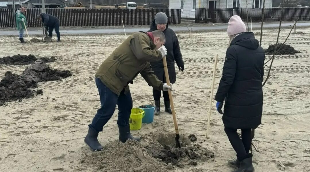 В селе Журиничи высадили 300 плодовых деревьев