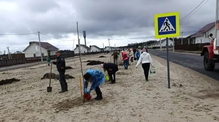 В селе Журиничи высадили 300 плодовых деревьев