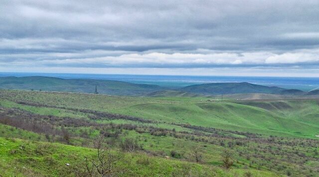 Брянская станция переливания крови обеспечила военный госпиталь лиофилизированной плазмой