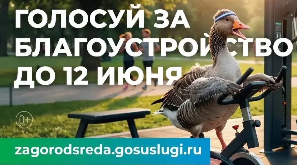 Стартовало голосование за объекты благоустройства: как россияне меняют свои города