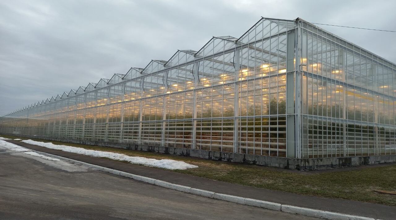 Журиничи: возрождение