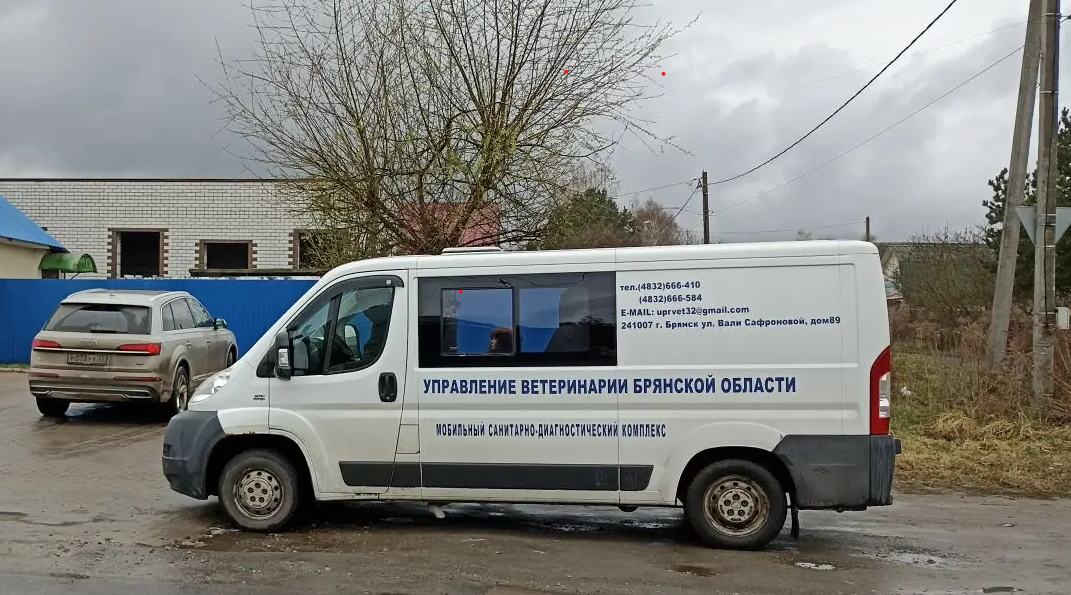 Бесплатная вакцинация животных в Антоновке