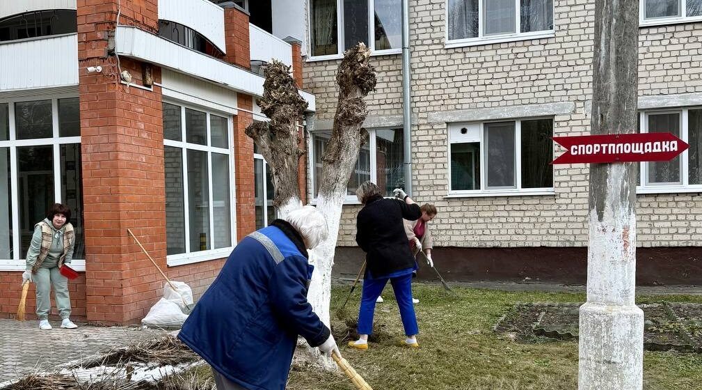 Внесли свою лепту, взяв в руки грабли и мётлы