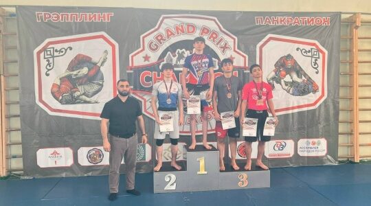 Брянцы завоевали медали соревнований по ММА в Орле