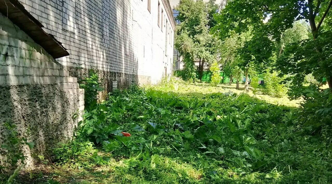В Брянском районе выкашивают борщевик Сосновского