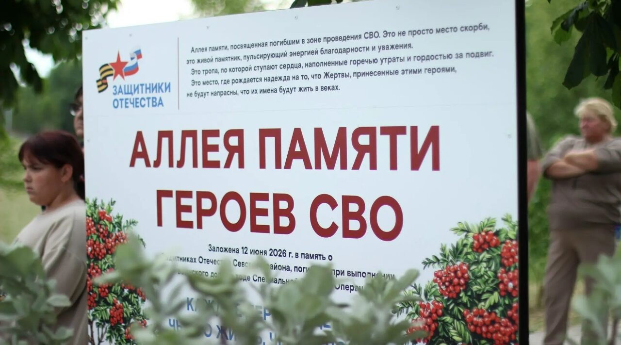 Фонд «Защитники Отечества» стал инициатором создания Рябиновой аллеи в память о погибших героях