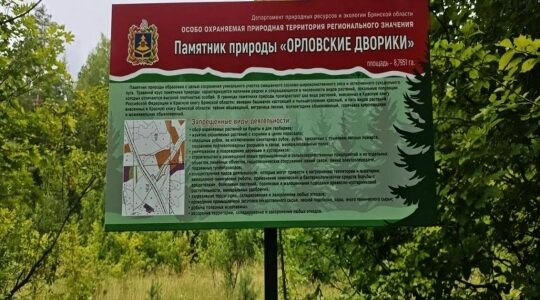 У Орловских двориков теперь есть границы