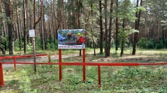  В Брянской области провели устройство новых минерализованных полос на 153,97 км