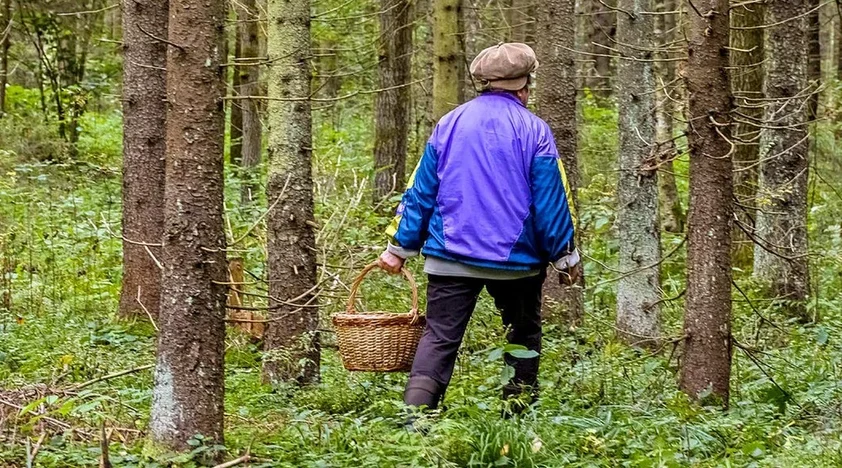 История поиска: найдены, живы!