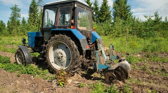 На Брянщине продолжают мероприятия по уходу за лесными культурами