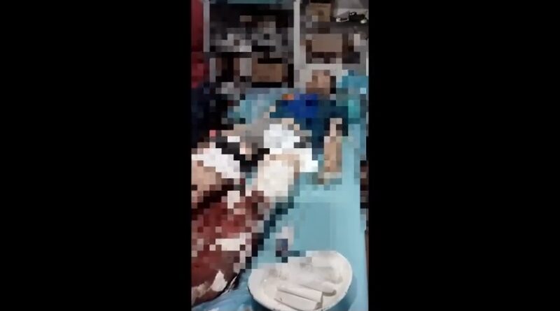 Произведенная в Брянске сухая плазма спасает жизни бойцов СВО