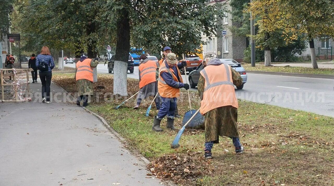 В Брянске убирают листву