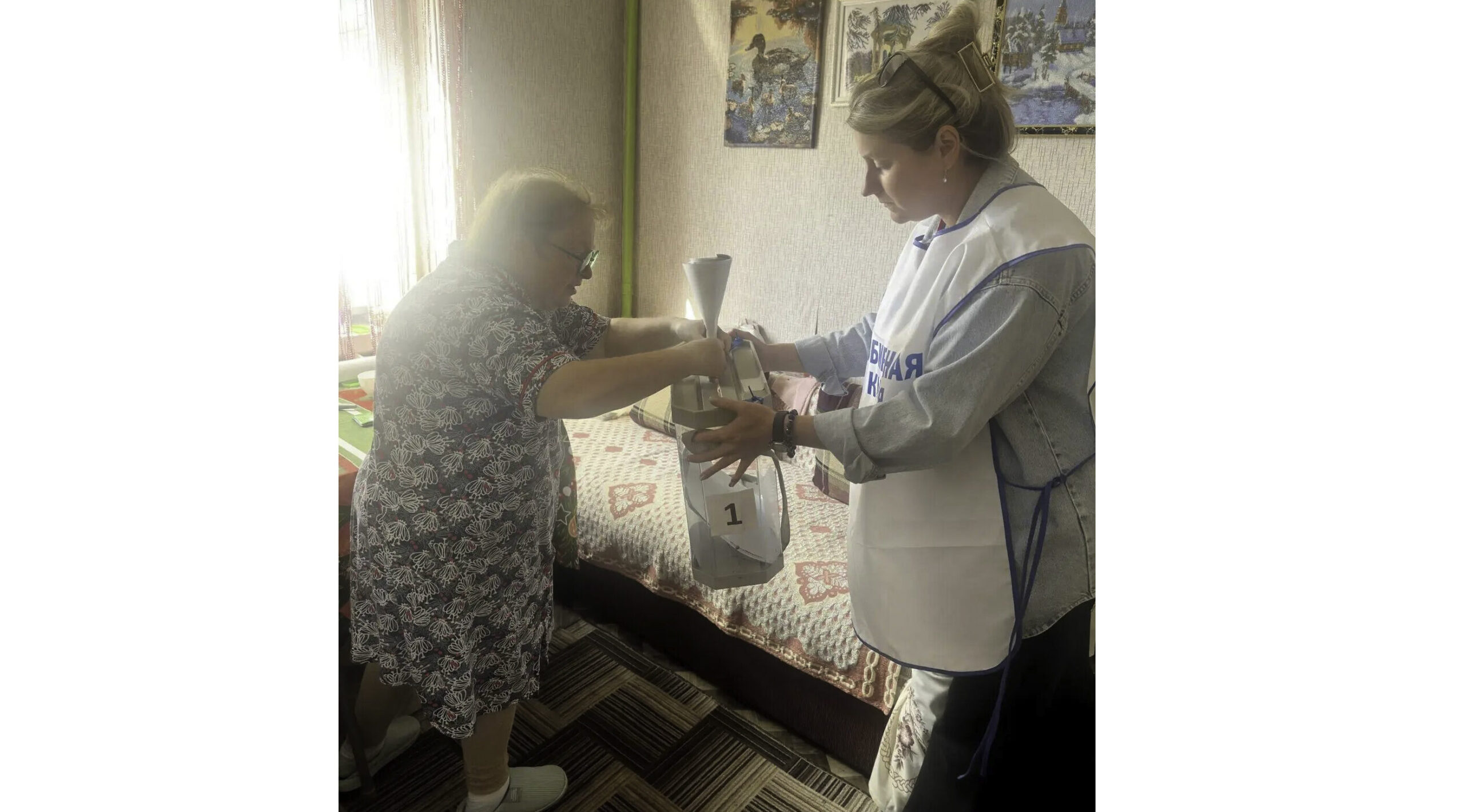 Голосование на дому: удобно и безопасно