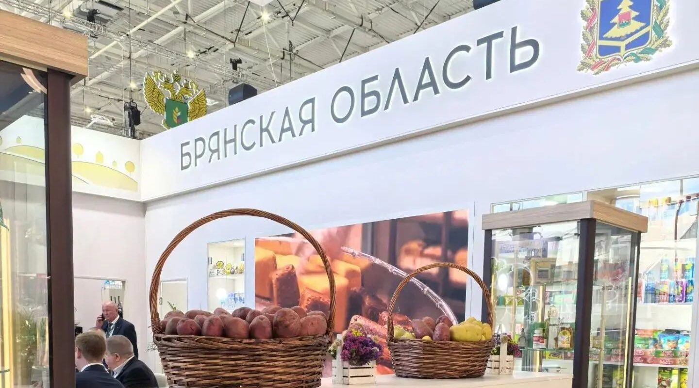 Губернатор рассказал о промышленном потенциале Брянской области