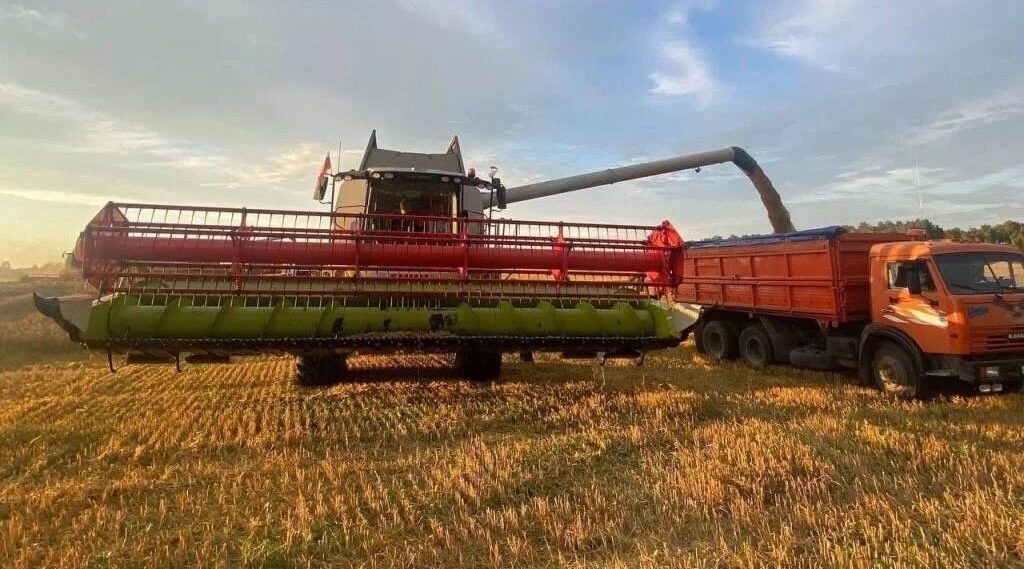 На Брянщине завершается уборка зерновых, зернобобовых культур и рапса